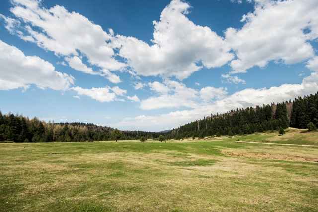 scenic view of grass field during daytime